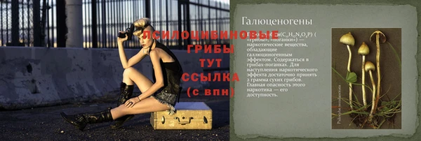 прущие грибы Алексеевка